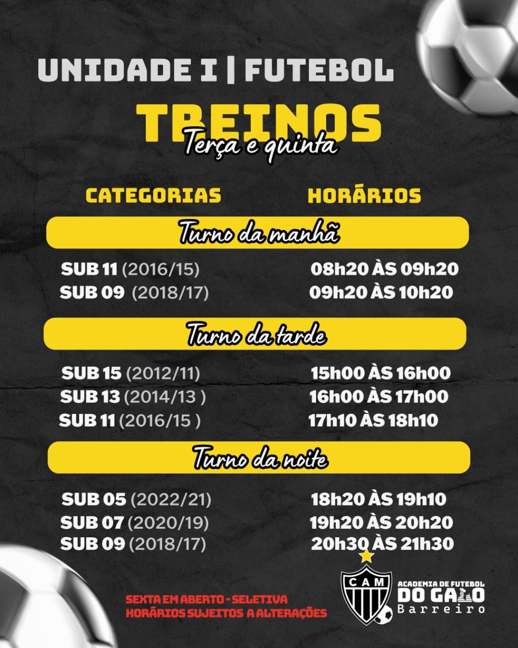 Academia Galo Barreiro - Society 2 — foto 7