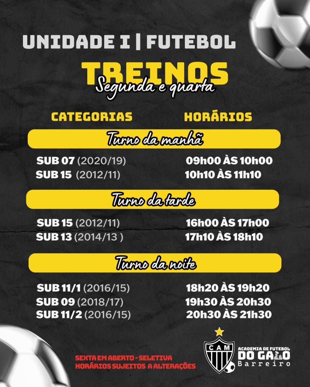 Academia Galo Barreiro - Society 2 — foto 8