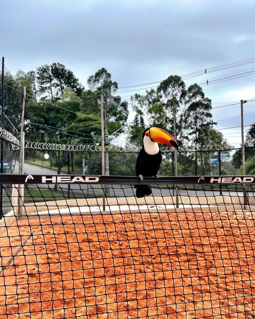 P12 Beach Tennis — foto 2