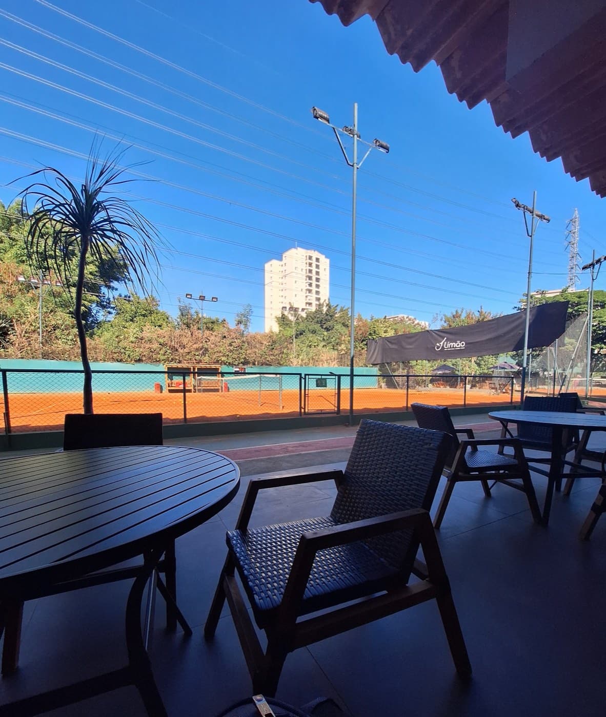 Limão Tênis — foto 4