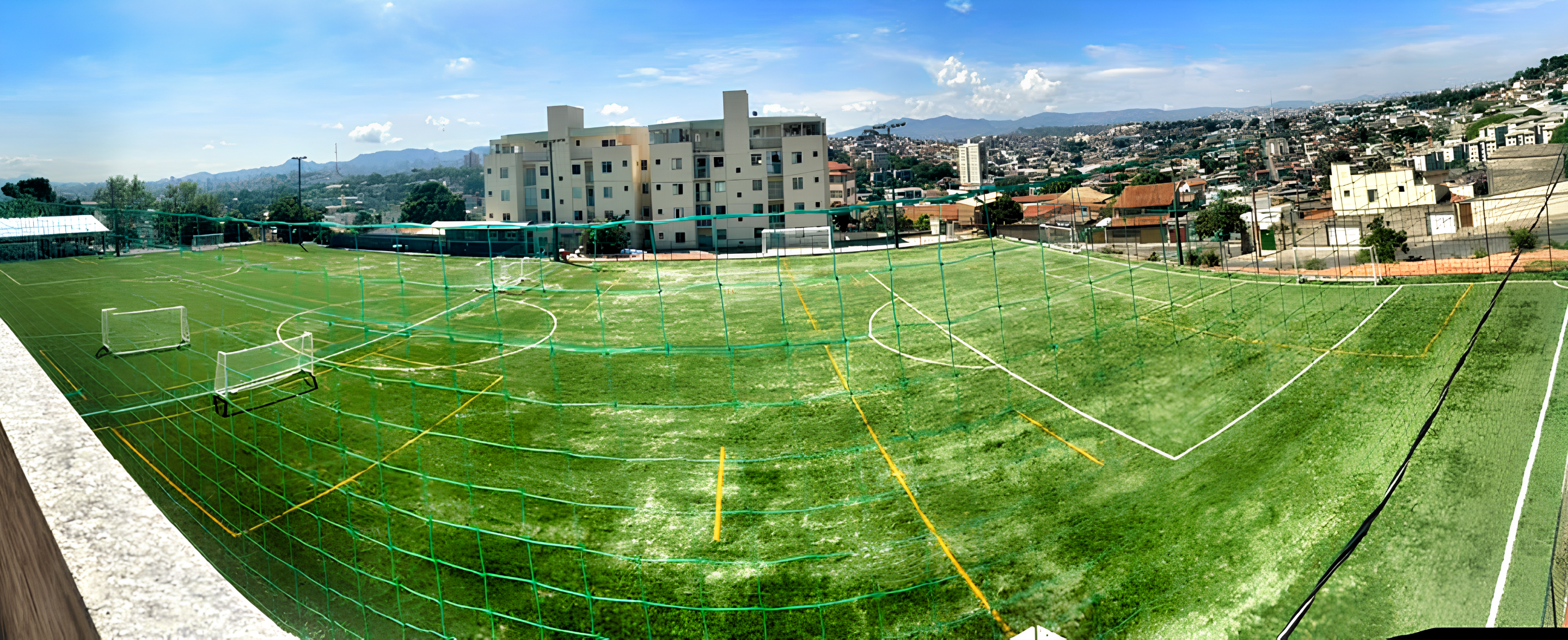 Arena Flyball — foto 2