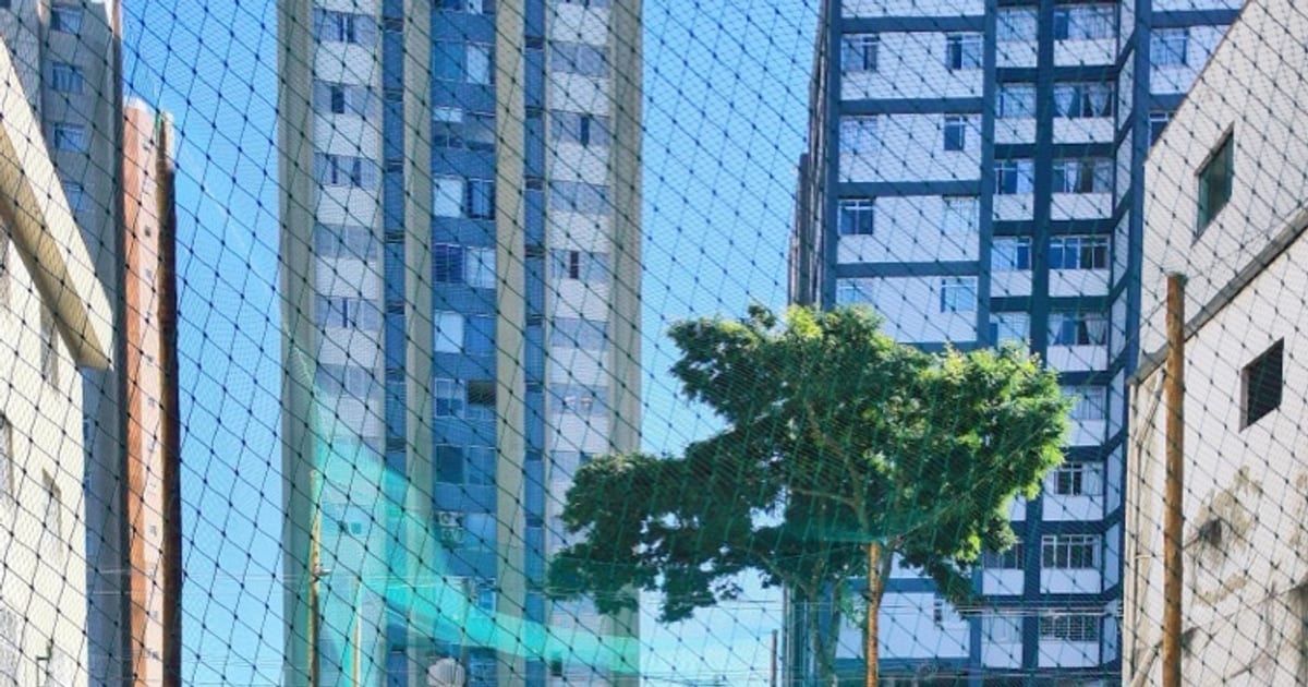 Foto da Minas Beach Tennis